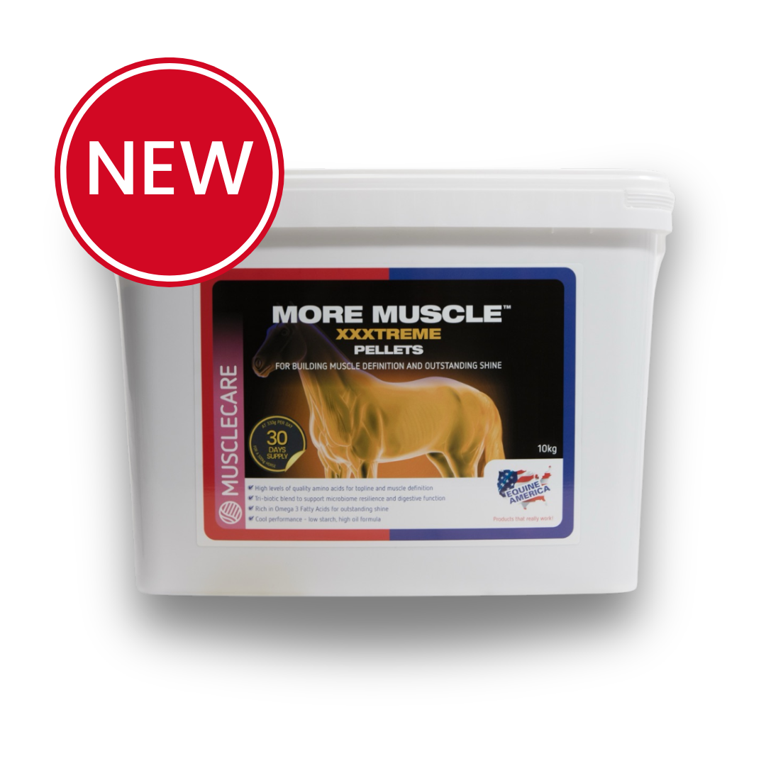 More Muscle Xxxtreme Pellets