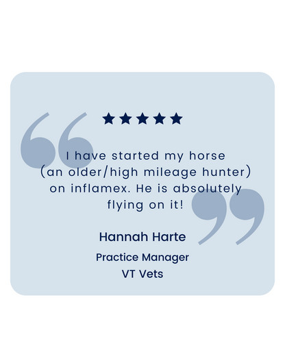 Equine Inflamex Powder