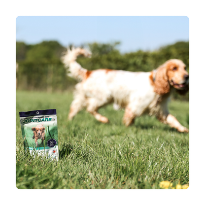 Canine Cortaflex® Working Dog Jointcare