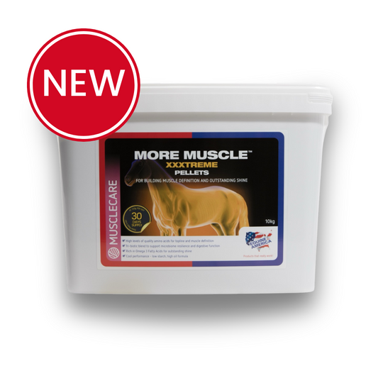 More Muscle Xxxtreme Pellets