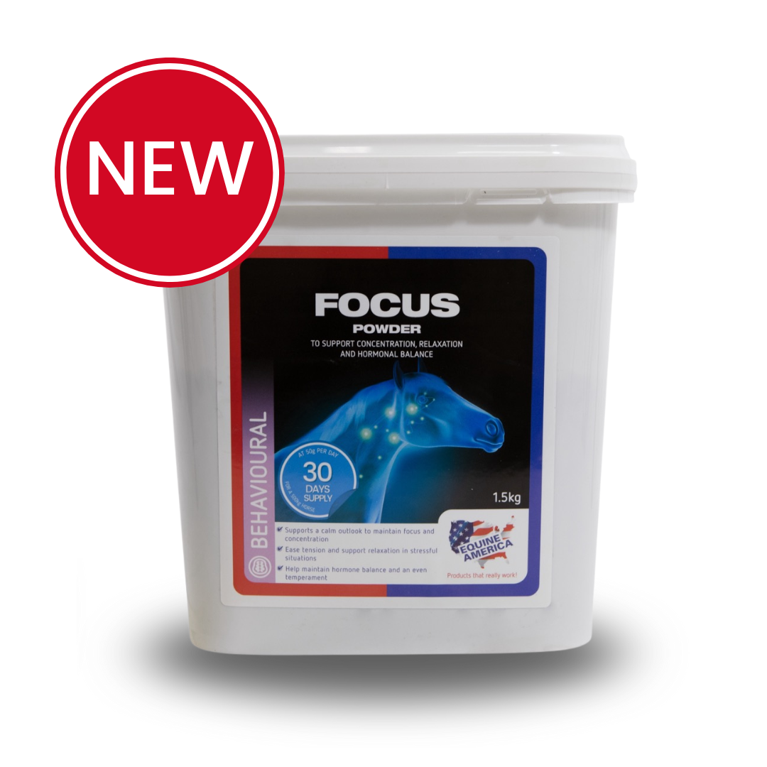 Focus Powder