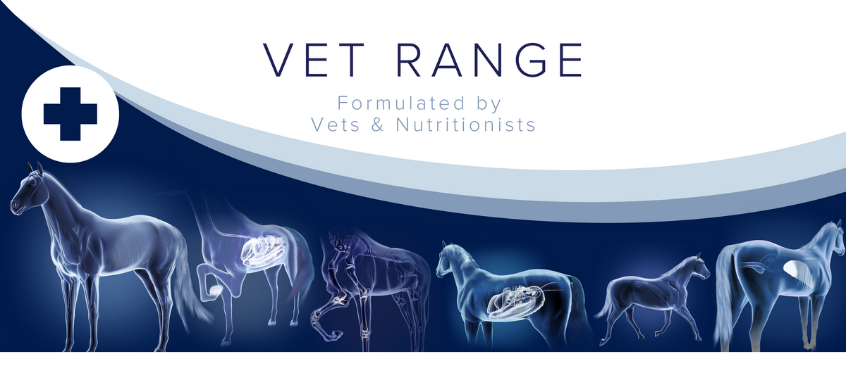 Equine America VET