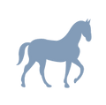 Get tailored advice for your horse